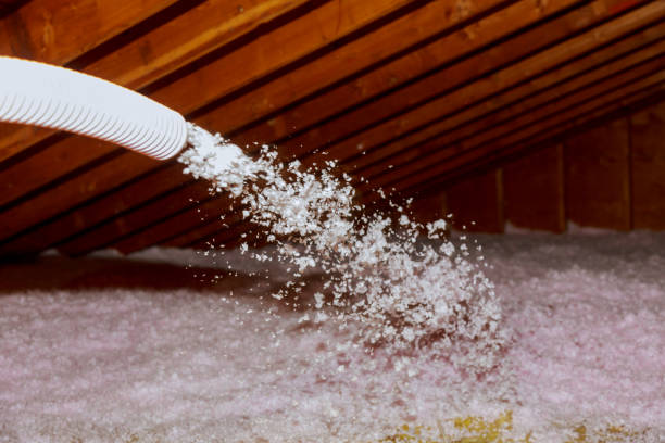 Best Spray Foam Insulation in Williams, AZ